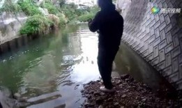 阿哈水库爆料视频大全最新,揭秘水库神秘面纱背后的真相